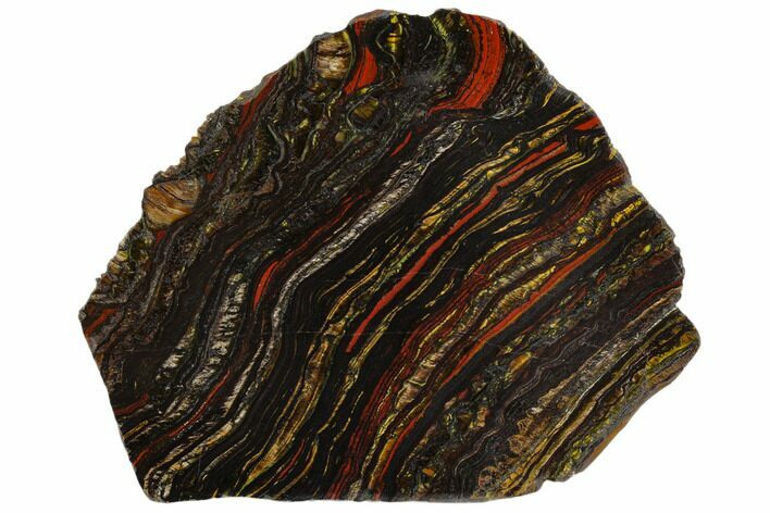 Polished Tiger Iron Stromatolite - Billion Years #129339